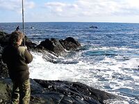 Только фото 3 — без подписи: уточните точки и рабочие приманки, пожалуйста