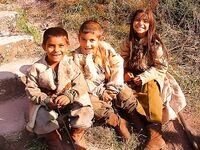 Только фото 3 — без подписи: уточните точки и рабочие приманки, пожалуйста