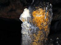 Только фото 3 — без подписи: уточните точки и рабочие приманки, пожалуйста