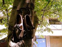 Только фото 3 — без подписи: уточните точки и рабочие приманки, пожалуйста