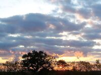 Созополь, буна Перла и мыс Коракя: самодуры молчали, паламида взяла ходом