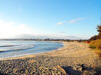 Созополь, буна Перла и мыс Коракя: самодуры молчали, паламида взяла ходом