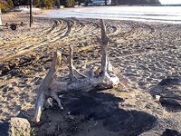 Созополь, буна Перла и мыс Коракя: самодуры молчали, паламида взяла ходом