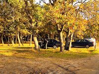 Созополь, буна Перла и мыс Коракя: самодуры молчали, паламида взяла ходом