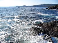 Созополь, буна Перла и мыс Коракя: самодуры молчали, паламида взяла ходом