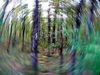 Созополь, буна Перла и мыс Коракя: самодуры молчали, паламида взяла ходом