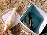 Фоторазсказ без подробностей — пару вопросов к автору по месту и времени