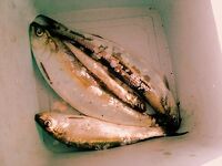 Фоторазсказ без подробностей — пару вопросов к автору по месту и времени