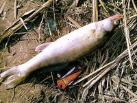 Фоторазсказ без подробностей — пару вопросов к автору по месту и времени