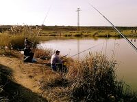 Фоторазсказ без подробностей — пару вопросов к автору по месту и времени
