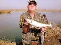 Фоторазсказ без подробностей — пару вопросов к автору по месту и времени