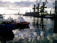 Утренний фото-рассказ: кадры без расшифровки, рыбалка была ранняя