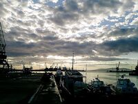 Утренний фото-рассказ: кадры без расшифровки, рыбалка была ранняя