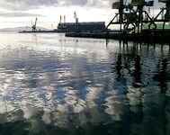 Утренний фото-рассказ: кадры без расшифровки, рыбалка была ранняя