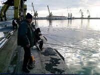 Утренний фото-рассказ: кадры без расшифровки, рыбалка была ранняя