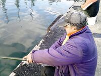 Утренний фото-рассказ: кадры без расшифровки, рыбалка была ранняя