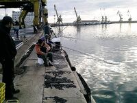 Утренний фото-рассказ: кадры без расшифровки, рыбалка была ранняя