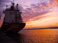 Морская рыбалка в Бургасе — судак, пеленгас и чернокоп, «клюёт на всё»