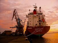 Морская рыбалка в Бургасе — судак, пеленгас и чернокоп, «клюёт на всё»