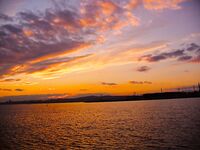 Морская рыбалка в Бургасе — судак, пеленгас и чернокоп, «клюёт на всё»