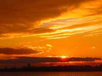 Морская рыбалка в Бургасе — судак, пеленгас и чернокоп, «клюёт на всё»