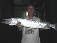 Карибский маршрут — Куба, Мексика, Коста-Рика, Панама, Венесуэла: что брать?