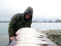 Бургас под дождём: тринадцать судаков на «бабушку» при +9 и юго-западном ветре