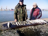 Западный порт Бургас: мороз, первый лёд и двадцать без одного судака за утро