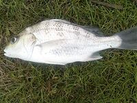 ЮАР — морская рыбалка в Южной Африке без слов: фото говорят сами за себя