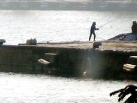 Бургас, из окна офиса: толстая кефаль на подходе и запретный плод манит