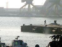 Бургас, из окна офиса: толстая кефаль на подходе и запретный плод манит