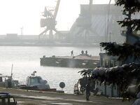 Бургас, из окна офиса: толстая кефаль на подходе и запретный плод манит