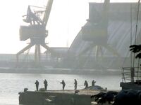 Бургас, из окна офиса: толстая кефаль на подходе и запретный плод манит