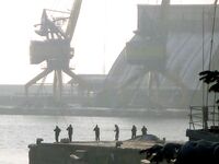 Бургас, из окна офиса: толстая кефаль на подходе и запретный плод манит