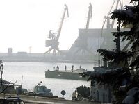 Бургас, из окна офиса: толстая кефаль на подходе и запретный плод манит