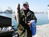 Весна в Бургасе — морская рыбалка в Бургасе по кефали, нереис и прикормка зажигают