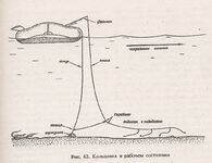 Ловля на кольцовку в море — задумка на отпуск, лодку так и не нашёл