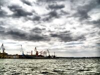 Весенний дождь, западный ветер — карагьоз сорвался, шпрота спасла день