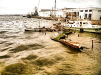 Весенний дождь, западный ветер — карагьоз сорвался, шпрота спасла день