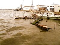 Весенний дождь, западный ветер — карагьоз сорвался, шпрота спасла день