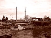 Весенний дождь, западный ветер — карагьоз сорвался, шпрота спасла день