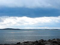 Весенний дождь, западный ветер — карагьоз сорвался, шпрота спасла день