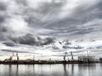 Весенний дождь, западный ветер — карагьоз сорвался, шпрота спасла день