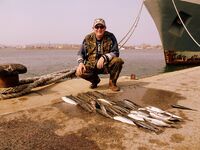 Кефаль на нереиса — 49 за выезд, щедрый улов разделил по-соседски