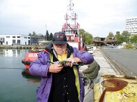 Вернулся после гор, свадьбы и Греции — в порту паламида, самодуры рвутся