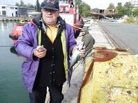 Вернулся после гор, свадьбы и Греции — в порту паламида, самодуры рвутся