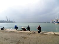 Вернулся после гор, свадьбы и Греции — в порту паламида, самодуры рвутся