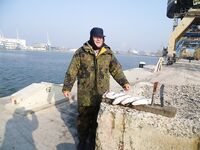 Западный порт Бургаса — шёл за карагьозом, вернулся со шпротной мелочью