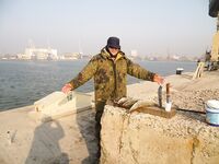 Западный порт Бургаса — шёл за карагьозом, вернулся со шпротной мелочью