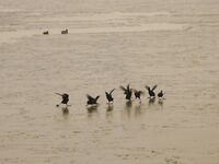 Полярная вибрация пришла — клев выключило, ушли греться